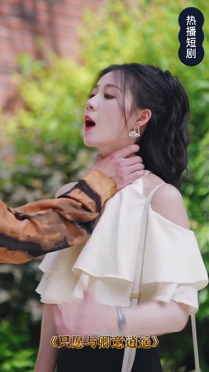 只愿与卿意逍遥封面