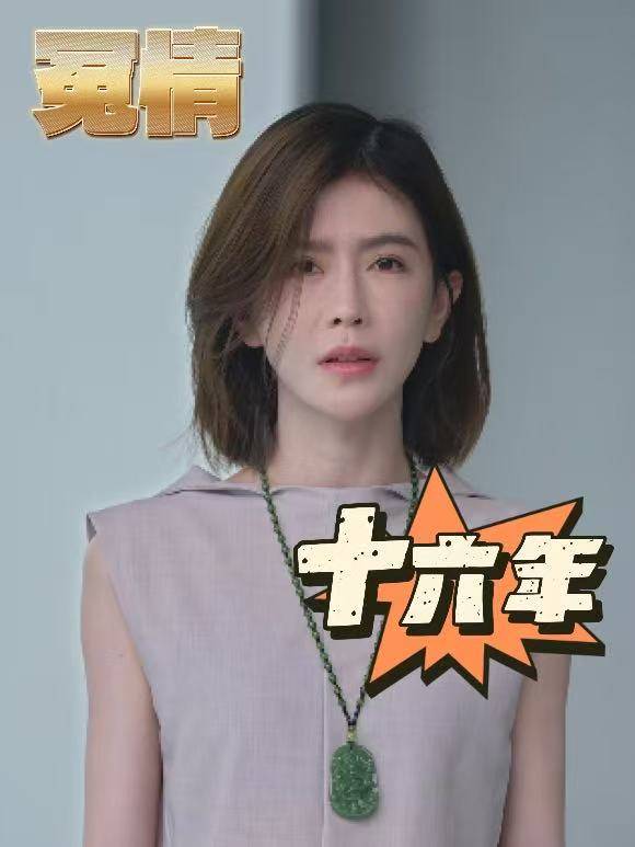 冤情十六年封面
