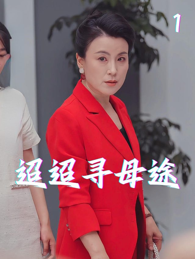 迢迢寻母途封面