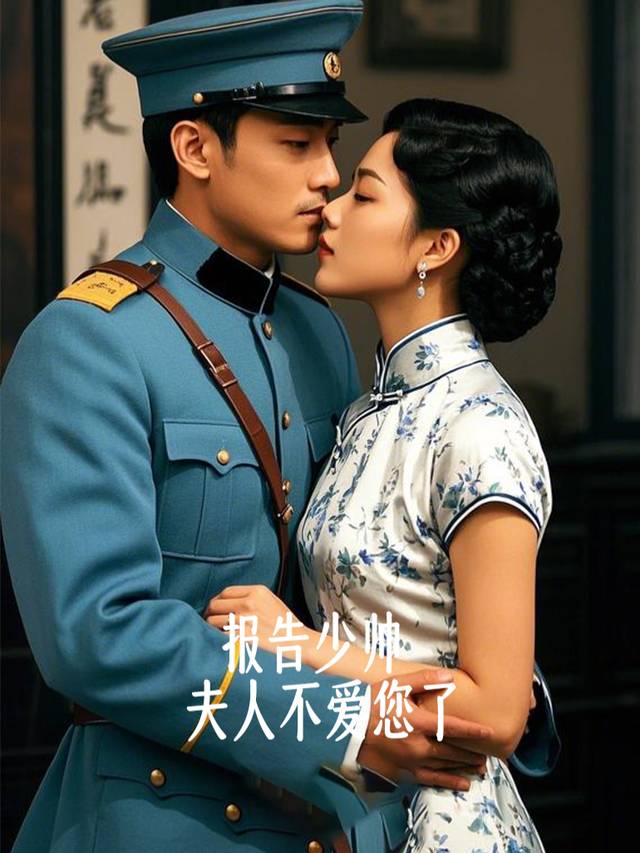 报告少帅,夫人不爱您了封面