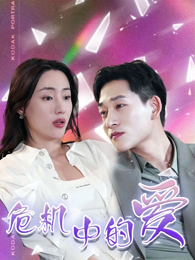 危机中的爱封面