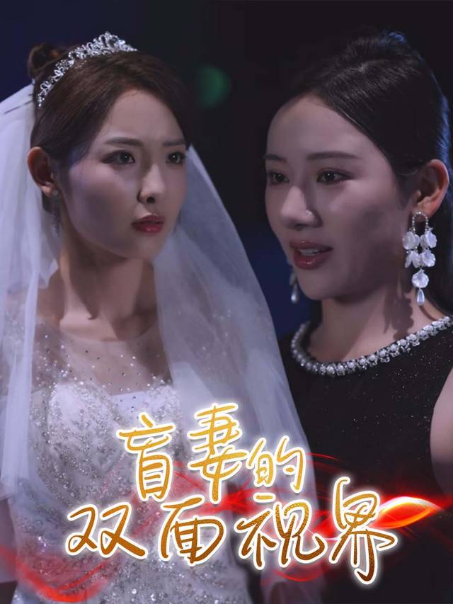 盲妻的双面视界封面