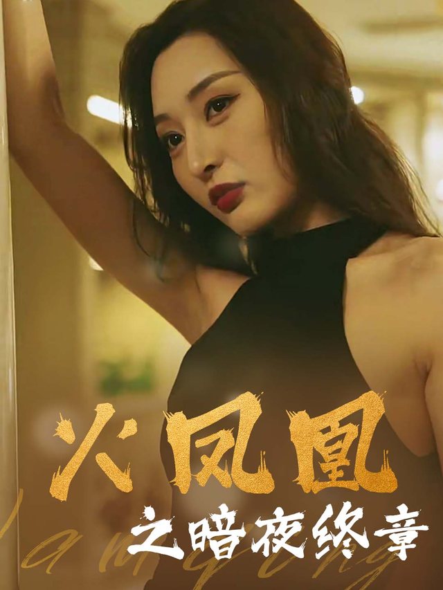 火凤凰之暗夜终章封面
