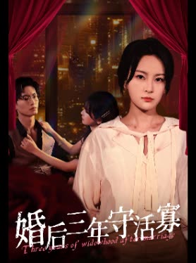婚后三年守活寡封面