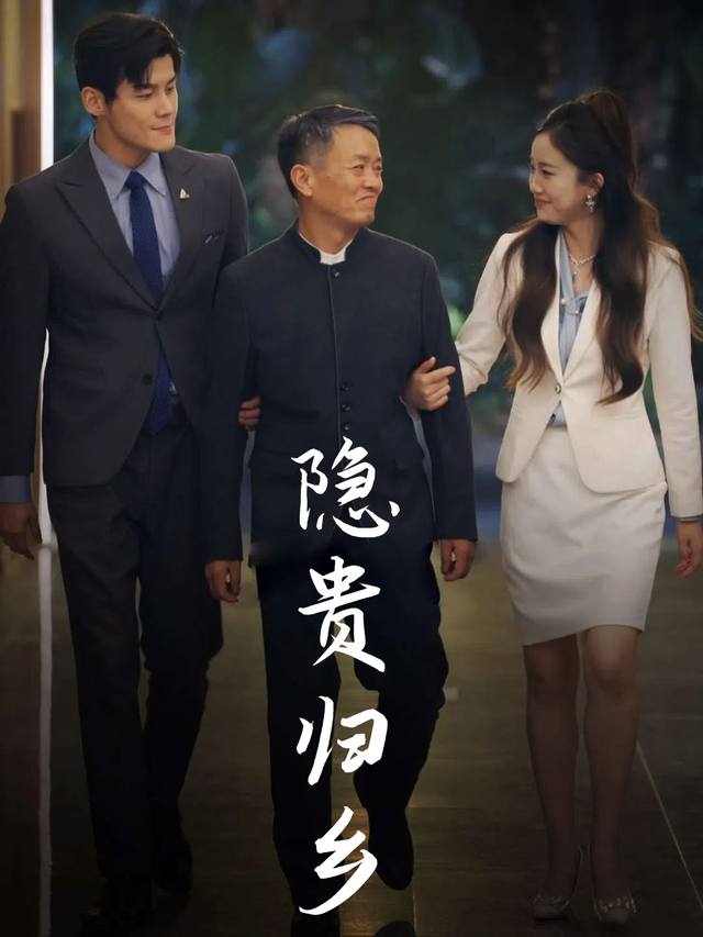 隐贵归乡封面
