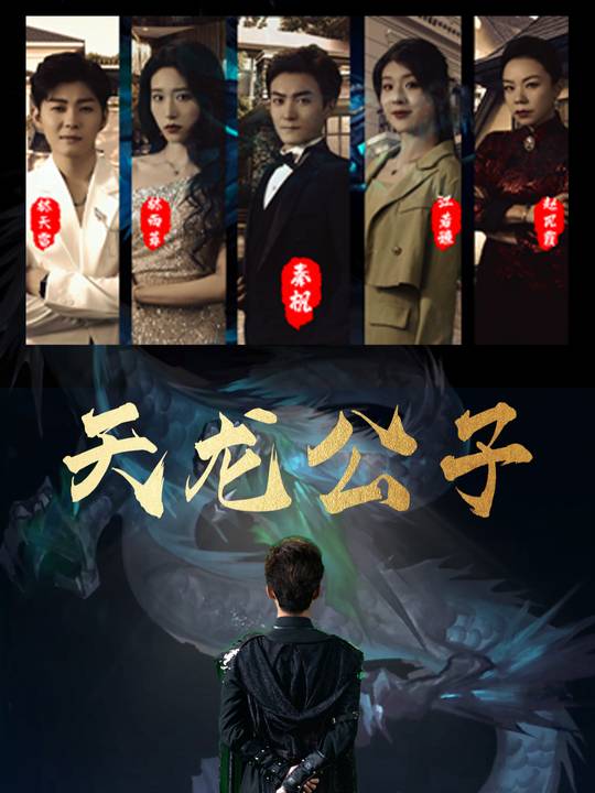 天龙公子封面