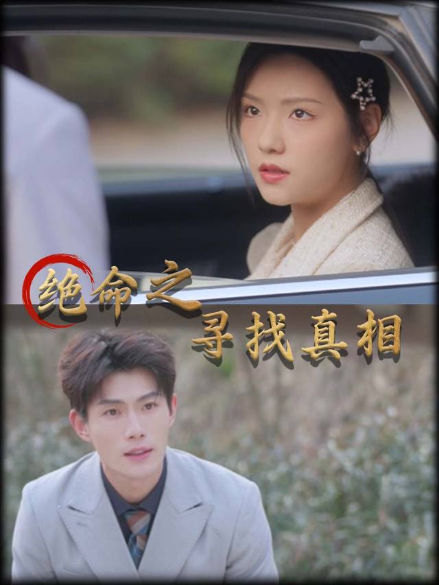 绝命之寻找真相封面
