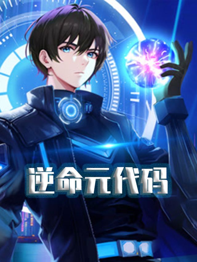 逆命元代码封面