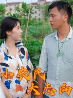 小农民大志向封面