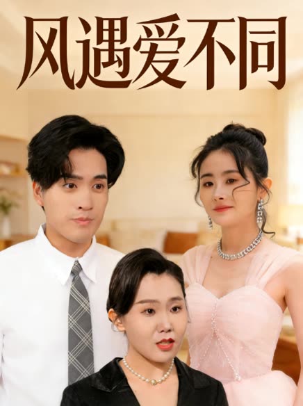 风遇爱不同封面
