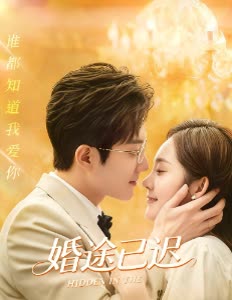 婚途已迟封面