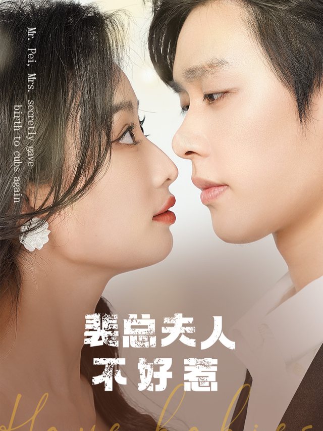 裴总夫人不好惹封面