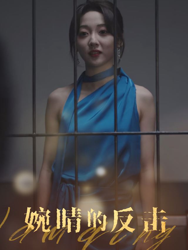婉晴的反击封面