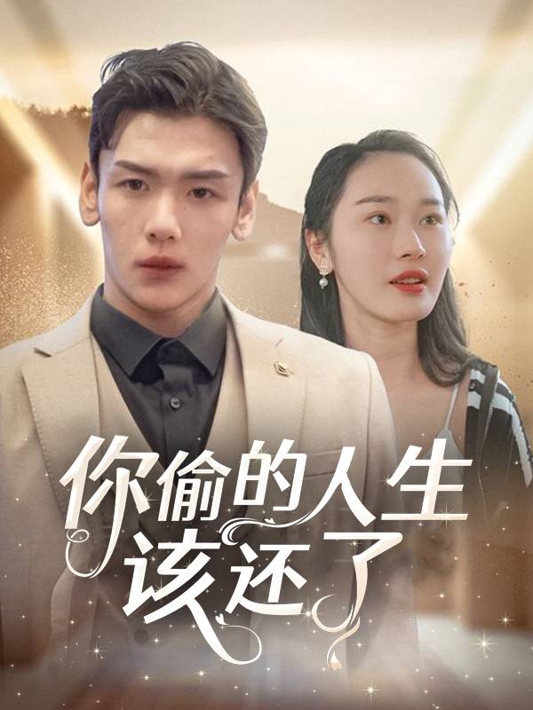 你偷的人生该还了封面