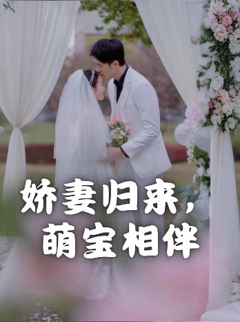 娇妻归来,萌宝相伴封面