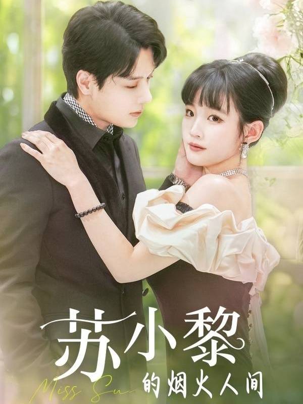 苏小黎的烟火人间封面