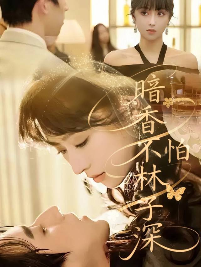 暗香不怕林子深封面