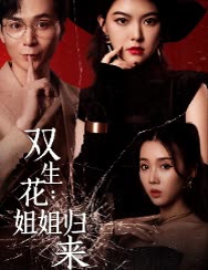 双生花:姐姐归来封面