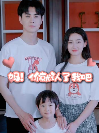 妈！你就认了我吧封面