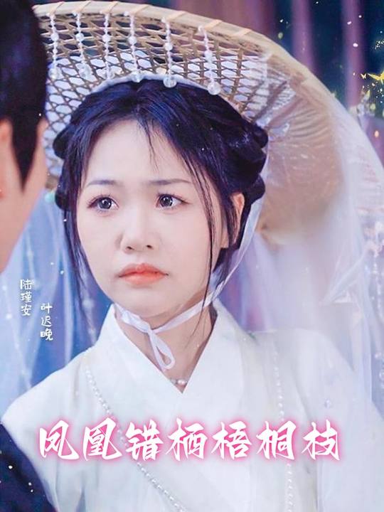 凤凰错栖梧桐枝封面
