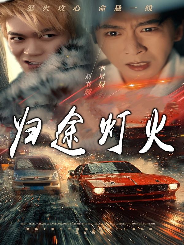 归途灯火封面