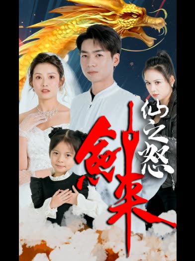 仙之怒剑来封面