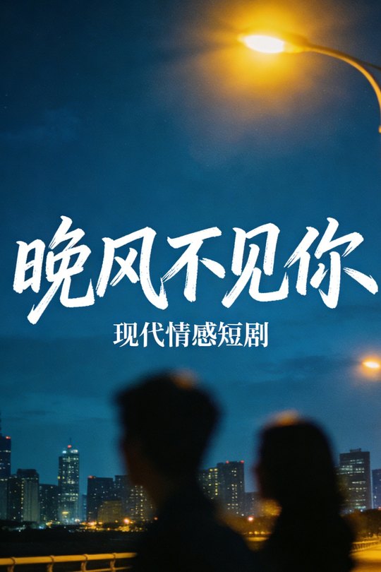 晚风不见你封面