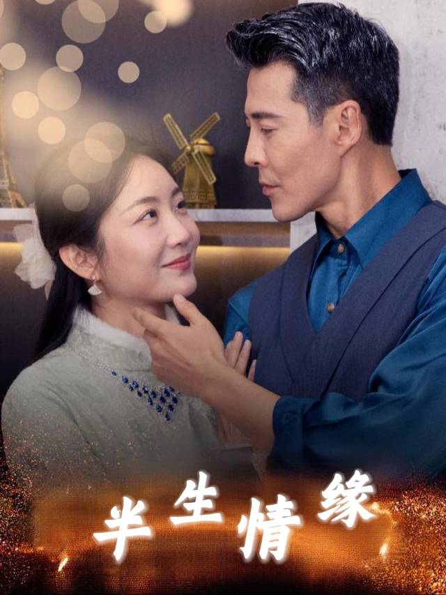 半生情缘封面