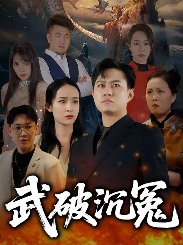 武破沉冤封面