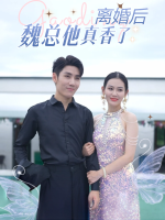 离婚后:魏总他真香了封面