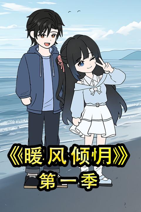 暖风倾月第一季封面