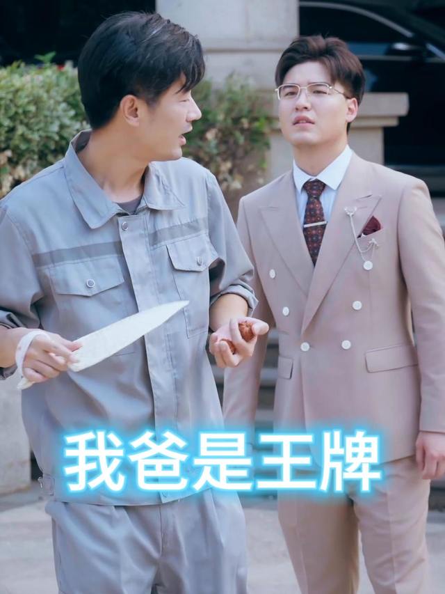 我爸是王牌封面