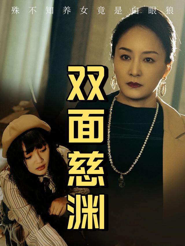 双面慈渊封面