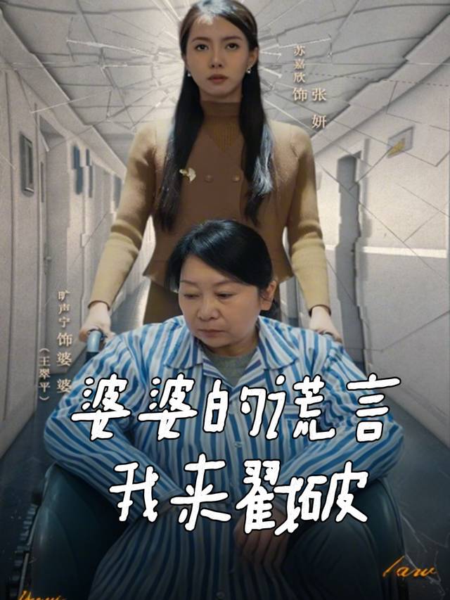 婆婆的谎言我来戳破封面