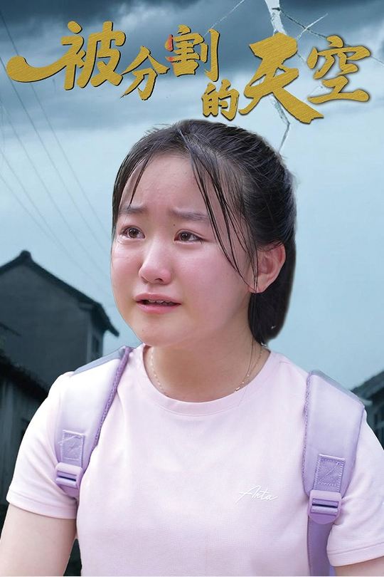 被分割的天空封面