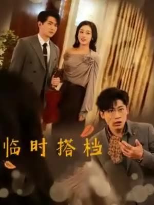 临时搭档封面