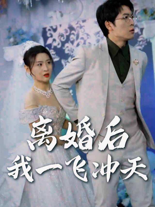 离婚后我一飞冲天封面