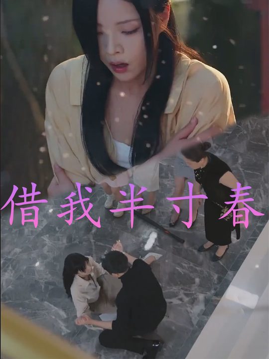 借我半寸春封面