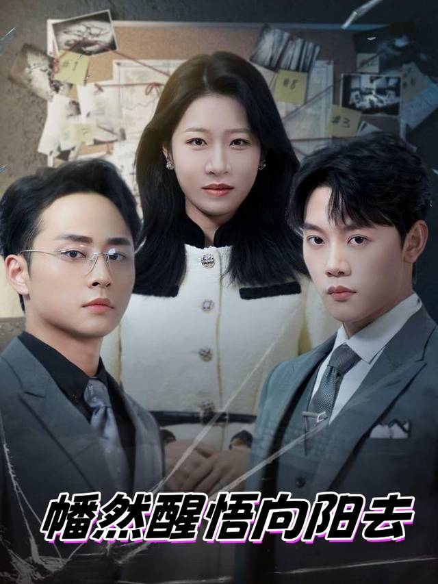 幡然醒悟向阳去封面