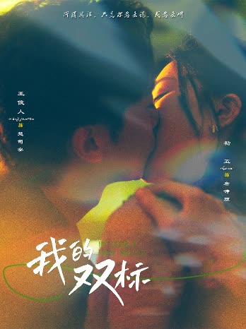 我的双标封面