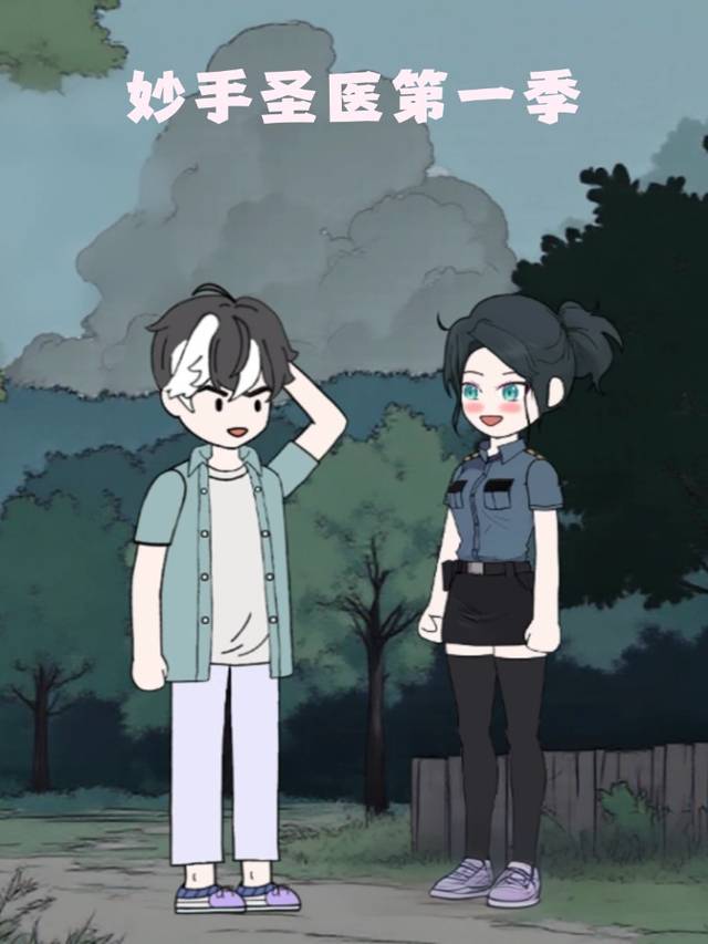 妙手圣医第一季封面