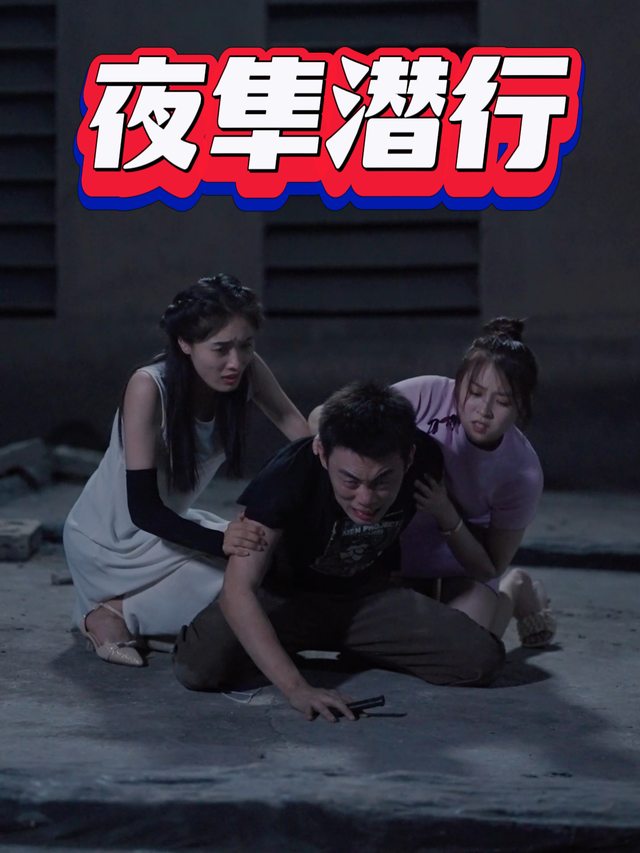 夜隼潜行封面