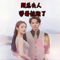 顾总夫人带着娃跑了封面