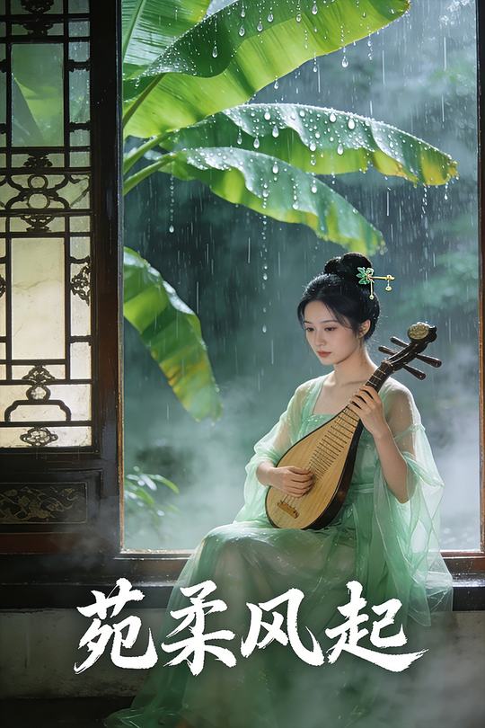 苑柔风起封面