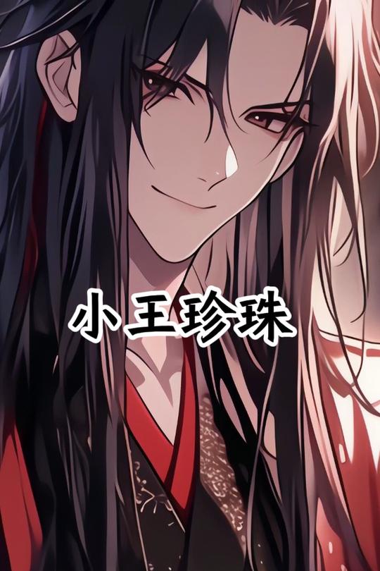 小王珍珠封面