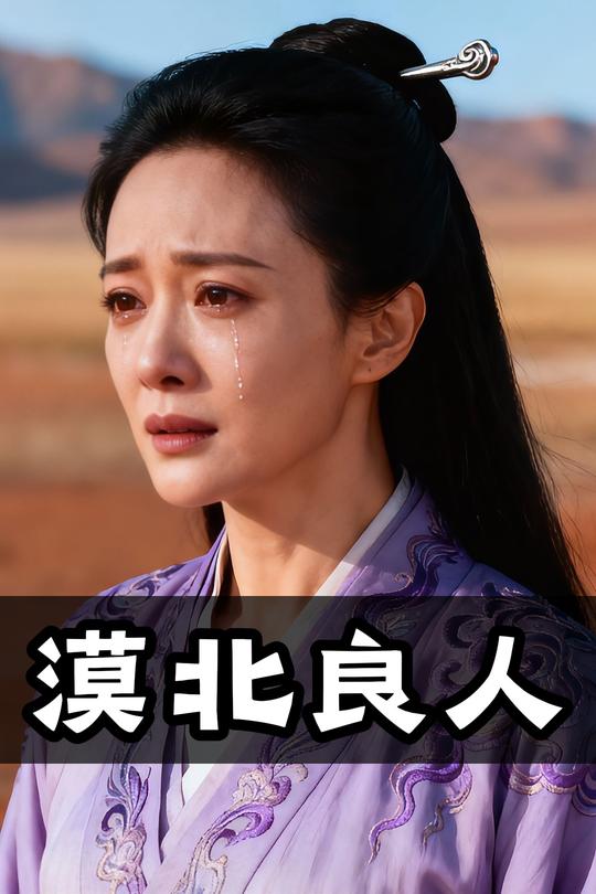 漠北良人封面