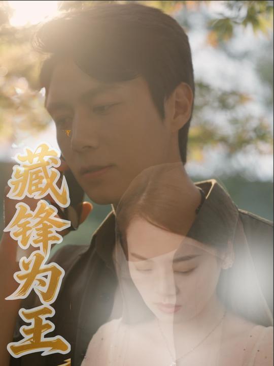 藏锋为王封面