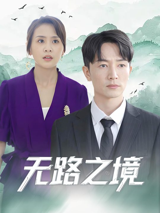 无路之境封面