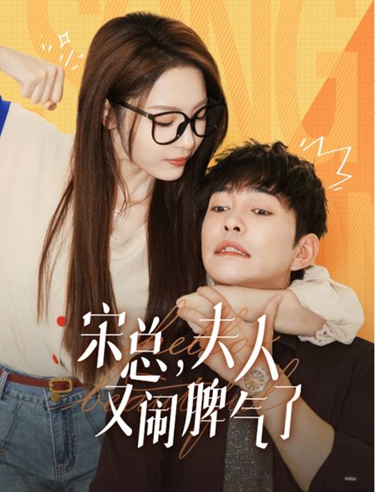 宋总:夫人又闹脾气了封面