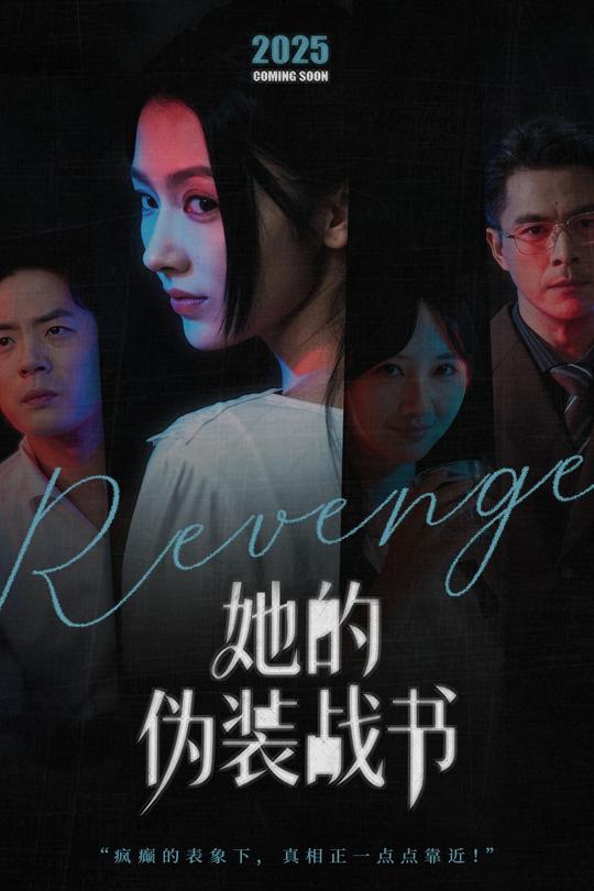 她的伪装战书封面